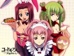  anya_alstreim bunnygirl cc chinese_dress cleavage code_geass kallen_stadtfeld maid 