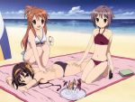  1600x1200 3girls asahina_mikuru beach bikini nagato_yuki suzumiya_haruhi suzumiya_haruhi_no_yuuutsu swimsuit 