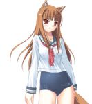  brown_hair holo long_hair no_pants one-piece_swimsuit red_eyes sai_gakai school_swimsuit school_uniform serafuku spice_and_wolf swimsuit swimsuit_under_clothes tail wolf_ears 