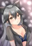 1girl absurdres animal_ears blue_bra blush bra breasts brown_eyes cleavage eyebrows_visible_through_hair fox_ears highres inahori kemono_friends lingerie looking_at_viewer open_clothes open_shirt parted_lips see-through shirt silver_fox_(kemono_friends) silver_hair solo underwear upper_body 