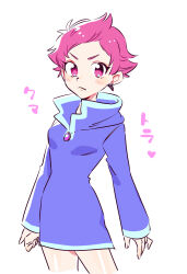  1girl absurdres closed_mouth cyappy1022 dress highres hood hooded_dress hoodie kumatora looking_at_viewer mother_(game) mother_3 pink_eyes pink_hair short_hair solo upper_body 