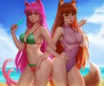  2girls animal_ears beach bikini blazblue blue_sky breasts brown_hair cat_ears cat_tail closed_mouth clouds daria_leonova day deviantart_username fox_tail glasses holo kokonoe locked_arms long_hair looking_at_viewer medium_breasts multiple_girls multiple_tails nail_polish navel ocean one-piece_swimsuit orange_nails outdoors pink_hair pink_nails purple_swimsuit rectangular_eyewear red_eyes shore sky spice_and_wolf stomach sunlight swimsuit tail very_long_hair watermark web_address wolf_ears 