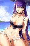  1girl arm_support bangs bare_arms bare_shoulders beach bikini bird black_bikini black_choker blue_eyes blue_sky blunt_bangs blush breasts choker clouds cross cross_necklace earrings eyebrows_visible_through_hair fate/grand_order fate_(series) frilled_bikini frills highres jewelry large_breasts long_hair looking_at_viewer navel necklace ocean outdoors parasol parted_lips purple_hair saint_martha saint_martha_(swimsuit_ruler)_(fate) sand seagull sitting sky smile solo suurin_(ksyaro) swimsuit umbrella very_long_hair water 
