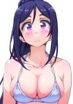  1girl ayumu-k blue_hair blush breasts cleavage closed_mouth collarbone halterneck highres long_sleeves looking_at_viewer love_live! love_live!_sunshine!! matsuura_kanan medium_breasts ponytail sidelocks simple_background solo upper_body violet_eyes white_background 