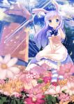  1girl animal_ears apron arm_up between_legs blue_dress blue_legwear blue_neckwear blue_sky blurry blurry_background blurry_foreground blush breasts character_name chinomaron closed_mouth clouds cloudy_sky commentary_request dress eyebrows_visible_through_hair field flower flower_field frills from_below gochuumon_wa_usagi_desu_ka? hair_ornament hairclip hand_between_legs happy_birthday highres kafuu_chino light_blue_hair long_hair maid maid_apron outdoors petals rabbit_ears shirt short_sleeves sidelocks signature sky small_breasts smile solo standing striped striped_legwear sunlight thigh-highs tree white_shirt wind windmill x_hair_ornament 