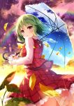  blush frills green_hair kazami_yuuka leaves miyase_mahiro petals rainbow red_eyes short_hair skirt touhou umbrella 