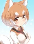  1girl :o animal_ears blue_background blush breast_pocket breasts brown_eyes brown_gloves brown_neckwear brown_vest collared_shirt dog_(kemono_friends) dog_girl elbow_gloves extra_ears eyebrows_visible_through_hair flying_sweatdrops gloves gradient gradient_background gradient_hair hand_up highres japari_symbol kemono_friends light_brown_hair looking_at_viewer medium_breasts multicolored multicolored_background multicolored_clothes multicolored_gloves multicolored_hair necktie open_mouth paw_background paw_pose pocket ransusan round_teeth shirt short_hair short_sleeves tail tareme teeth two-tone_background two-tone_hair upper_body upper_teeth vest white_background white_gloves white_hair white_shirt white_vest 