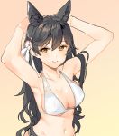  1girl adjusting_hair animal_ears armpits arms_up atago_(azur_lane) azur_lane bangs bikini black_hair breasts brown_eyes flower hair_flower hair_ornament large_breasts mole mole_under_eye navel ribbon shovelwell swept_bangs swimsuit upper_body white_bikini white_ribbon 