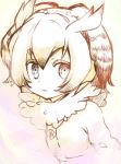  1girl coat commentary_request eurasian_eagle_owl_(kemono_friends) eyebrows_visible_through_hair fur_collar fur_trim head_wings kemono_friends long_sleeves looking_at_viewer monochrome parted_lips short_hair solo upper_body yami_(m31) 