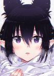  1girl animal_ears bangs black_hair close-up commentary_request eyebrows_visible_through_hair eyes face fingernails hair_between_eyes looking_at_viewer mano_(narumi_arata) narumi_arata original parted_lips pointy_ears portrait scarf short_hair solo violet_eyes white_scarf 