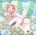  1girl :3 :d air_bubble animal animal_costume axolotl axolotl_costume bangs blunt_bangs bow brown_eyes brown_hair bubble commentary_request gum_(vivid_garden) hood ichihara_nina idolmaster idolmaster_cinderella_girls long_hair looking_at_viewer open_mouth outstretched_arms seaweed smile spread_arms underwear 