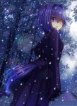  1girl bangs blue_eyes breasts coat commentary_request dutch_angle eyebrows_visible_through_hair full_moon gloves hair_between_eyes hair_intakes heterochromia highres long_hair long_sleeves looking_at_viewer looking_back moon murasame_shia night night_sky original outdoors parted_lips purple_coat purple_gloves sky small_breasts snow snowing solo tail yellow_eyes 