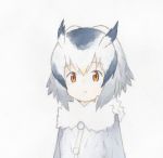  1girl black_hair blonde_hair fur_collar grey_background grey_coat head_wings highres kemono_friends long_sleeves looking_at_viewer multicolored_hair northern_white-faced_owl_(kemono_friends) simple_background solo uepon_(shimo_ponzu) upper_body white_hair yellow_eyes 