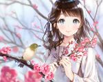  1girl anco_(melon85) bird blurry blurry_background blush brown_hair c: depth_of_field flower grey_eyes hair_ribbon holding long_hair mole mole_under_eye original plum plum_blossoms ribbon school_uniform smile solo wavy_hair 