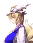  brown_eyes hat kurokuro profile short_hair tail touhou yakumo_ran 