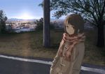  1girl artist_name bangs blue_sky checkered_scarf city closed_mouth coat commentary_request day grass hands_in_pockets horizon long_sleeves looking_at_viewer original outdoors red_scarf road scarf scenery signature sky smile sunrise telephone_pole tree umiroku 