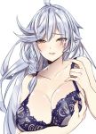  218 breasts granblue_fantasy long_hair silva_(granblue_fantasy) 