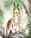  1girl black_eyes brown_hair claws commentary_request creature day feathered_wings flower forest fur_collar harpy highres jewelry leaf looking_at_viewer monster_girl mouth_hold nature necklace outdoors owl_girl pixiv_fantasia pixiv_fantasia_new_world short_hair solo tree ttk_(ehohmaki) winged_arms wings x_x 