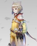  1girl animal_ears bangs blunt_bangs bodysuit cat_ears eyebrows gloves highres hood long_sleeves niyah short_hair silver_hair simple_background smile solo toraziron white_gloves xenoblade xenoblade_2 yellow_bodysuit yellow_eyes 