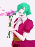  1girl asellus_(saga_frontier) bad_id bad_pixiv_id breasts dress flower green_eyes green_hair rose saga saga_frontier short_hair solo 