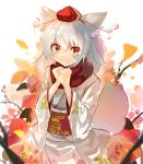  1girl absurdres animal_ears branch clenched_hands commentary_request flower hat highres inubashiri_momiji japanese_clothes kimono long_sleeves looking_at_viewer medium_hair obi petals red_eyes red_scarf rin_falcon sash scarf smile solo tail tokin_hat touhou white_kimono wolf_ears wolf_tail 