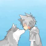  1boy animal_ears bandage bandaged_arm blush child closed_eyes closed_mouth fang grey_hoodie kiss male_focus nose_kiss original shorts silver_hair toyama wolf wolf_ears 