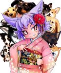  absurdres animal_ears commentary_request dalmatian dog dog_child_(doitsuken) dog_ears dog_request doitsuken eyebrows_visible_through_hair fang floral_print flower flower_request grin hair_flower hair_ornament head_tilt highres japanese_clothes kimono long_sleeves looking_at_viewer new_year obi original pink_kimono purple_hair red_eyes sash shiba_inu short_hair slit_pupils smile v-shaped_eyebrows wide_sleeves year_of_the_dog 