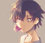  1boy black_eyes black_hair close-up cr-r flower flower_in_mouth hikigaya_hachiman looking_at_viewer male_focus mouth_hold shade solo yahari_ore_no_seishun_lovecome_wa_machigatteiru. 