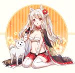  1girl :3 animal azur_lane bandage bandaged_arm bangs between_legs black_cape breasts bridal_gauntlets budget_sarashi cape cleavage collar collarbone dog floral_background floral_print flower hair_flower hair_ornament hand_between_legs iven_(hongwenwen) knees_together_feet_apart long_hair looking_at_viewer medium_breasts miniskirt nail_polish navel print_cape red_eyes red_flower red_nails red_skirt sarashi shiny shiny_hair silver_hair sitting skirt slit_pupils solo spiked_collar spikes stomach straight_hair striped tassel tattoo thigh-highs two_side_up vertical_stripes wariza white_legwear yuudachi_(azur_lane) zettai_ryouiki 