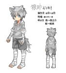  1boy animal_ears bandage bandaged_arm bandaged_leg barefoot blue_eyes character_profile character_sheet drawstring eyebrows_visible_through_hair grey_hoodie grey_shorts highres hood hood_down hoodie male_focus original shorts silver_hair slit_pupils touyama_(t3yama2) translated wolf wolf_ears 