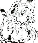 1girl animal_ears bow bowtie breasts cosplay elbow_gloves gloves idolmaster idolmaster_cinderella_girls jougasaki_rika kemono_friends kurisu_sai long_hair monochrome open_mouth paw_pose serval_(kemono_friends) serval_(kemono_friends)_(cosplay) serval_ears serval_print serval_tail simple_background smile solo striped_tail tail white_background