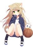 1girl animal animal_ears bangs basketball black_jacket black_legwear black_shorts blue_eyes blush cat cat_ears cat_tail closed_mouth commentary_request eyebrows_visible_through_hair full_body green_eyes hair_ornament hairclip hand_on_own_knee hand_to_own_mouth highres jacket knees_together_feet_apart long_hair long_sleeves looking_at_viewer mafuyu_(chibi21) name_tag open_clothes open_jacket original shirt shoes shorts simple_background sleeves_past_wrists socks tail track_jacket unzipped very_long_hair white_background white_cat white_shirt 