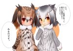  2girls :&lt; absurdres bangs brown_coat brown_hair closed_mouth coat commentary_request eurasian_eagle_owl_(kemono_friends) eyebrows_visible_through_hair fur_collar gloves gradient_hair grey_coat grey_gloves grey_hair hair_between_eyes hand_to_own_mouth hand_up head_wings highres idaten93 kemono_friends long_hair long_sleeves looking_at_viewer multicolored_hair multiple_girls northern_white-faced_owl_(kemono_friends) parted_lips print_coat red_eyes translation_request white_background yellow_eyes yellow_gloves 