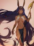  1girl animal_ears arm_at_side bangle bangs bare_shoulders blurry bracelet bracer brown_background cropped_legs dark_skin earrings egyptian_clothes facial_mark fate/grand_order fate_(series) floating_hair hair_between_eyes hairband holding holding_staff hoop_earrings jewelry lips loincloth long_hair looking_away looking_to_the_side low-tied_long_hair navel nitocris_(fate/grand_order) parted_lips purple_hair rabbit_ears revealing_clothes simple_background sola7764 solo staff standing stomach straight_hair striped two-tone_hairband vertical_stripes very_long_hair violet_eyes whisker_markings 