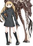  1girl alternate_costume animal bangs black_dress black_footwear black_gloves blonde_hair blue_eyes boots brown_hair buttons closed_mouth cross-laced_footwear dress eyebrows eyebrows_visible_through_hair facing_viewer full_body giraffe gloves gradient_hair hair_between_eyes hand_on_hip high_ponytail hirayama_(hirayamaniwa) kemono_friends lace-up_boots legs_apart long_hair long_sleeves looking_at_viewer multicolored_hair no_animal_ears no_horn no_tail reticulated_giraffe_(kemono_friends) short_dress simple_background solo standing tareme turtleneck white_background white_hair 