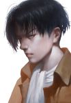  1boy absurdres black_hair danny_(china) grey_eyes highres levi_(shingeki_no_kyojin) looking_at_viewer male_focus portrait shingeki_no_kyojin solo 