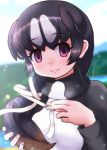  1girl back_cover black_hair blurry brown_hair carasohmi depth_of_field empty_eyes eyebrows_visible_through_hair great_auk_(kemono_friends) hair_ribbon head_fins highres holding holding_hair kemono_friends light_smile long_hair long_sleeves looking_at_viewer multicolored_hair outdoors ribbon sky solo spotted_hair upper_body violet_eyes white_hair 