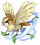  commentary_request flying full_body leaf looking_at_viewer no_humans pearl7 pidgey pokemon pokemon_(creature) simple_background solo spread_wings white_background 