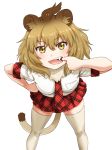  1girl animal_ears bangs bent_over blush breasts brown_hair eyebrows eyebrows_visible_through_hair facing_viewer fang finger_in_mouth fur_collar gradient_hair hair_between_eyes hand_on_hip highres kemono_friends legs_apart light_brown_hair lion_(kemono_friends) lion_ears lion_tail looking_at_viewer miniskirt multicolored_hair necktie plaid plaid_skirt pleated_skirt pocket red_neckwear red_skirt shirt short_hair short_sleeves simple_background skindentation skirt small_breasts solo standing tail takatsuki_nao tan_legwear teeth thigh-highs tongue tsurime two-tone_hair white_background white_shirt yellow_eyes zettai_ryouiki 