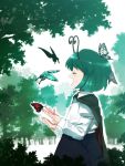  antenna butterfly cape closed_eyes forest green green_hair nature profile short_hair singing tonbi touhou wriggle_nightbug 
