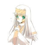  cat green_eyes index nun sphinx_(index) to_aru_majutsu_no_index toranosuke toyonoka white_hair 