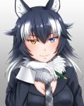  1girl animal_ears bangs black_hair black_jacket blue_eyes blush breast_pocket breasts cleavage closed_mouth eyebrows eyebrows_visible_through_hair eyelashes facing_viewer fur_collar gloves gradient gradient_background gradient_hair grey_neckwear grey_wolf_(kemono_friends) hair_between_eyes hair_flaps heterochromia highres holding holding_pencil jacket kemono_friends lips long_hair long_sleeves looking_at_viewer medium_breasts multicolored multicolored_background multicolored_hair necktie orange_eyes pencil pink_lips plaid plaid_neckwear pocket shiny shiny_hair sleeve_cuffs smile solo takatsuki_nao tsurime two-tone_hair upper_body white_gloves white_hair wolf_ears 