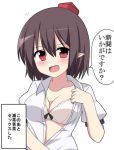  1girl commentary_request enushi_(toho193) highres shameimaru_aya solo touhou translation_request upper_body 