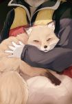  1girl animal animal_ears batta_(kanzume_quality) fluffy fox gloves head_out_of_frame holding holding_animal jacket long_sleeves looking_at_viewer original whiskers white_gloves 