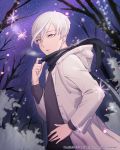  alternate_costume androgynous antarcticite coat contemporary hand_on_hip highres hood hooded_jacket houseki_no_kuni jacket looking_at_viewer night night_sky outdoors scarf short_hair sky solo sparkle star_(sky) starry_sky tree white_eyes white_hair winter_clothes 