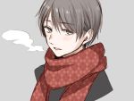  1boy :d bangs blush breath checkered checkered_scarf chisumi cropped_torso eyebrows_visible_through_hair grey_background grey_eyes grey_hair hair_between_eyes looking_at_viewer male_focus open_mouth original portrait red_scarf scarf simple_background smile solo upper_body 