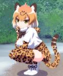  1girl animal_ears arm_rest blonde_hair bow bowtie closed_mouth day eyebrows_visible_through_hair full_body fur_collar gloves hand_to_own_mouth hand_up jaguar_(kemono_friends) jaguar_ears jaguar_print jaguar_tail kemono_friends looking_at_viewer multicolored_hair outdoors print_gloves print_skirt quatre_aaaa shirt shoes short_hair short_sleeves skirt solo squatting tail thigh-highs tsurime white_footwear white_hair white_shirt yellow_eyes zettai_ryouiki 
