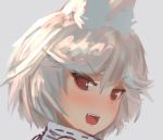  1girl :d animal_ears blush commentary ehrrr face fang grey_background looking_at_viewer open_mouth original red_eyes ringed_eyes short_hair simple_background smile solo upper_body white_hair 