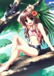  barefoot brown_hair flower green_eyes long_hair navel open_mouth short_jeans sitting tagme tree 