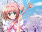  4:3 800x600 card_captor_sakura cardcaptor_sakura cherry_blossoms frills green_eyes hoshi_no_tsue kinomoto_sakura magical_girl sakurano_toriko short_twintails staff twintails wallpaper 